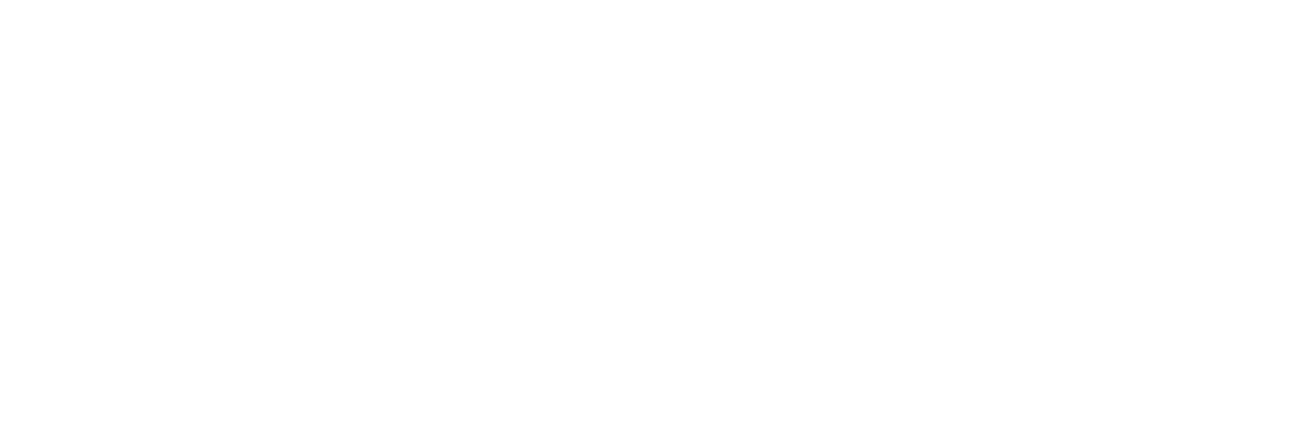 Bremer Systemhaus Logo in weiß